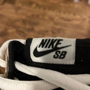 Nike SB Dunk High “ Paul Ulrich “ Size 10.5